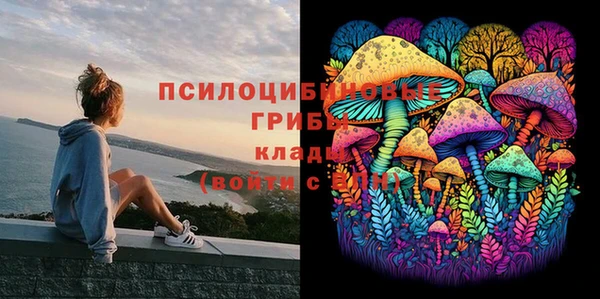 ГАЛЛЮЦИНОГЕННЫЕ ГРИБЫ Алзамай