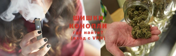 ГАЛЛЮЦИНОГЕННЫЕ ГРИБЫ Алзамай