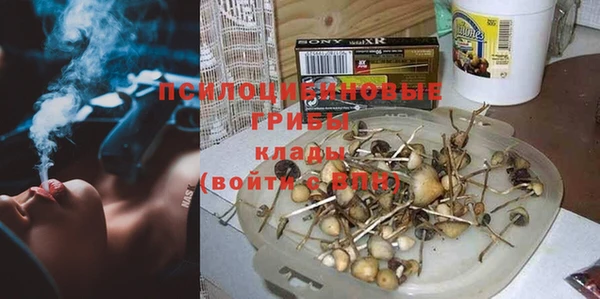 герыч Алексин