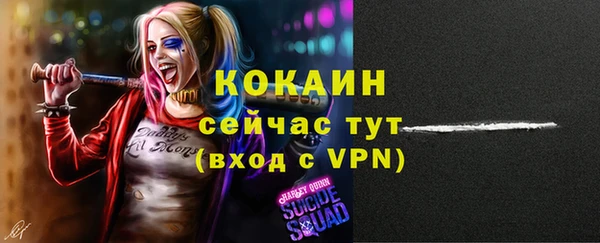 винт Карпинск