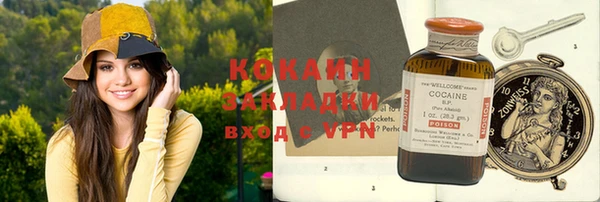 ГАЛЛЮЦИНОГЕННЫЕ ГРИБЫ Алзамай